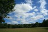 Summer sky