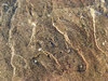 Close up of a stone