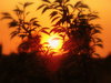 Sunset in May 4