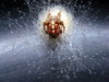 Cross spider 2