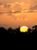 setting sun silhouettes