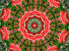 second red alien garden circle