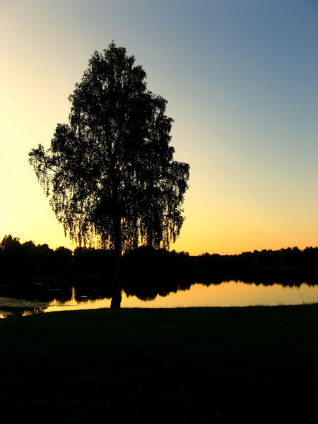 Swedish evening: no description