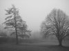 Black and White series 5