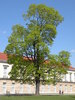 Berlin 2010