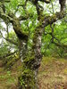 National Park Thy