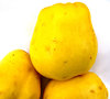 ripe quinces