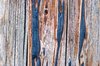 Weathered wood