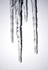 Icicle
