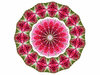 flower filament mandala