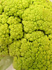 broccoflower
