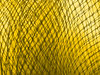 enmeshed in gold