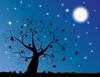 Moonlit Tree
