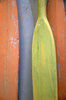 Painted Oars