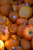 Pumpkins
