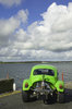 The Beetle