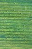 Green painted wood