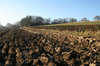 Ploughed field in winter