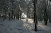 Snow light