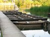 pond