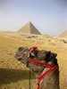 pyramids