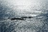 Rocks in the water