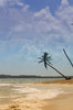 Caribbean Dreams