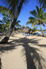 Caribbean Dreams