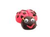 lady bug
