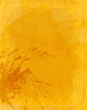 Splat Texture