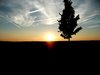 Sunset 1