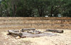 campsite fireplace