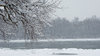 Winter walk