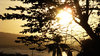 Los Baños Sunsets