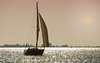 Moonlight sailing