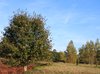Autumn landscape