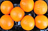 navel oranges