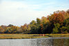 Canoe