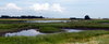 Marsh area