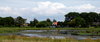Marsh area