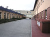 Treeless street