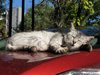 deep sleep