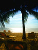Caribbean Dreams