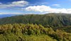 Green panorama