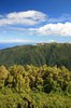 Green mountains