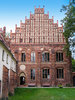 cloister zinna