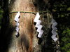 Shinto offerings