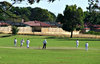 suburban cricket game