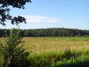 Polish countryside 6