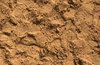 Sandbox